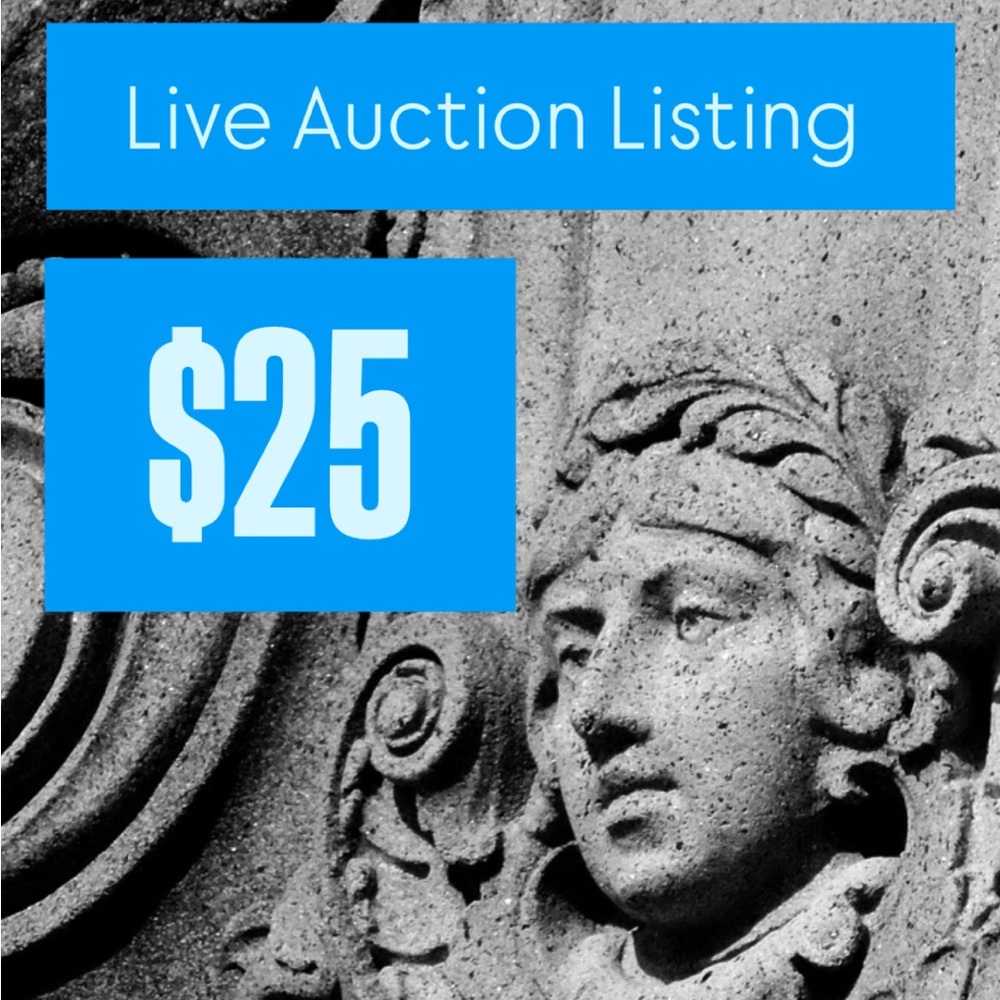 Live Auction Listing